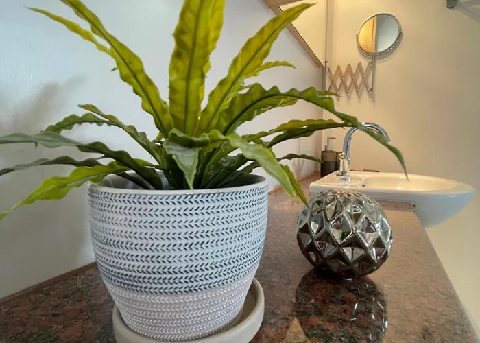 Cataleya Fig Tree Bay Town Center 빌라 프로타라스