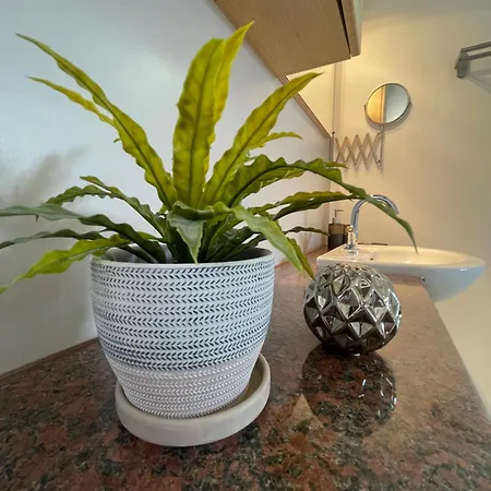 Cataleya Fig Tree Bay Town Center 别墅 普罗塔拉斯